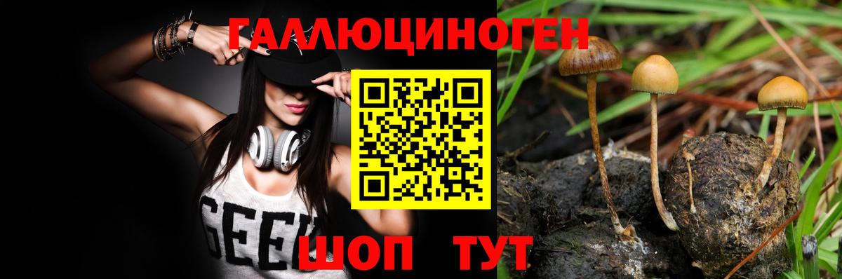 Галлюциногенные грибы Psilocybine cubensis  как найти закладки  Фрязино  Псилоцибиновые грибы мухоморы  Вход с VPN 